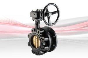 Dm950 Gbox Fodrv Fm Flg Crane Fs B Bf 300X212 1